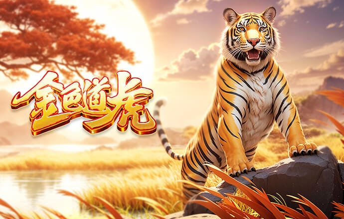 金刚app官方下载